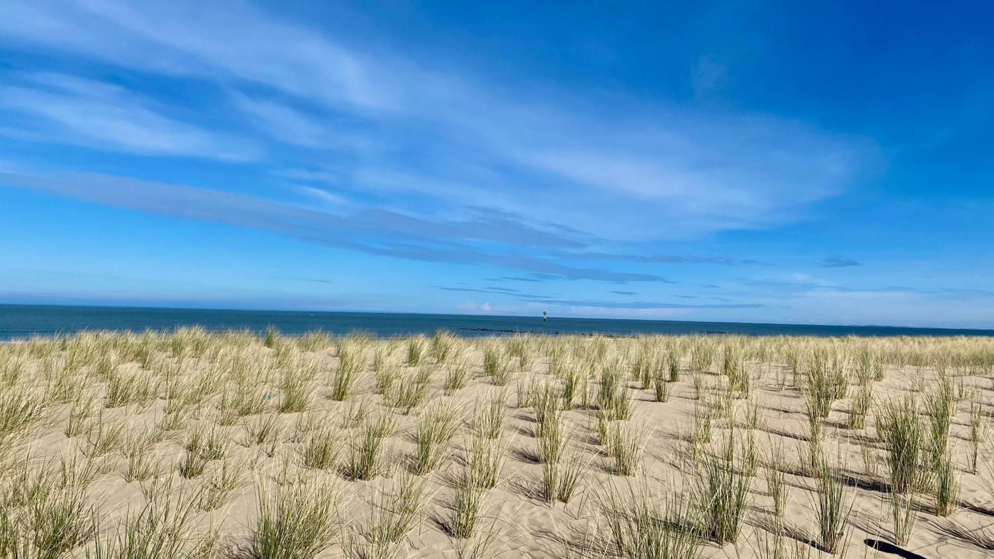Ferienwohnung Royal Knokke Exterior foto